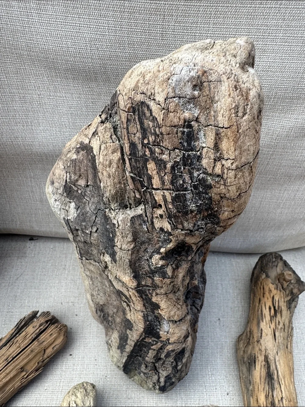 11 pc (5lbs shipped) Natural Driftwood Decorative Accent Pieces-craft & display
